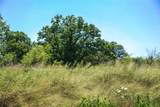 131.7 Acres Roney Road - Photo 23