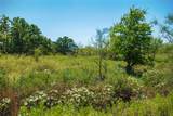 131.7 Acres Roney Road - Photo 24