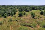 131.7 Acres Roney Road - Photo 3