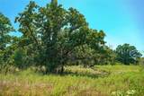 131.7 Acres Roney Road - Photo 37