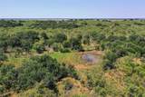 131.7 Acres Roney Road - Photo 38