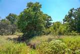 131.7 Acres Roney Road - Photo 39