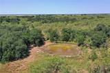 131.7 Acres Roney Road - Photo 4