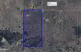 131.7 Acres Roney Road - Photo 40
