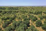 131.7 Acres Roney Road - Photo 5