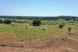 131.7 Acres Roney Road - Photo 7