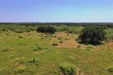 131.7 Acres Roney Road - Photo 9