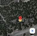 23 Alta Vista Drive - Photo 4