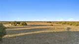 TBD County Road 444 - Photo 15