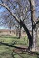 164 Jrc Ranch Court - Photo 7