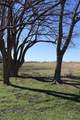 164 Jrc Ranch Court - Photo 9