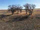 1235 County Road 226 - Photo 1