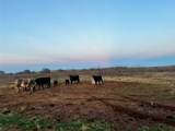 Lot 32 High Plains Trail - Photo 2