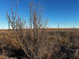 Lot 32 High Plains Trail - Photo 4