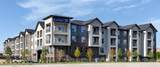 2400 Ace Lane - Photo 1