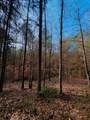 TBD (Lot 59) County Road 1060 - Photo 10