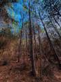 TBD (Lot 59) County Road 1060 - Photo 11