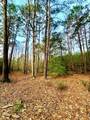 TBD (Lot 59) County Road 1060 - Photo 4