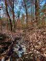 TBD (Lot 59) County Road 1060 - Photo 6