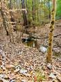 TBD (Lot 59) County Road 1060 - Photo 7