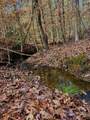 TBD (Lot 59) County Road 1060 - Photo 8