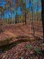 TBD (Lot 59) County Road 1060 - Photo 9