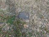 632 Reindeer Road - Photo 22