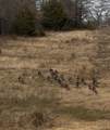 TBD Fm 3206 - Photo 16