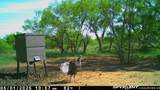 3574 180 - Photo 11