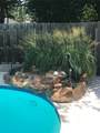 1118 Berkshire Court - Photo 29