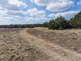 TBD Us Highway 281 - Photo 18
