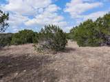 TBD Us Highway 281 - Photo 24