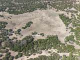 TBD Us Highway 281 - Photo 30