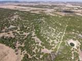 TBD Us Highway 281 - Photo 31