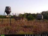 5530 Hwy 158 - Photo 40
