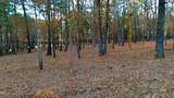 TBD Hickory Trail - Photo 1