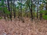 TBD County Road 106 - Photo 10