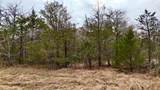 TBD County Road 106 - Photo 36