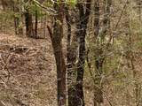 TBD County Road 106 - Photo 4