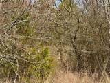 TBD County Road 106 - Photo 5