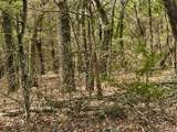 TBD County Road 106 - Photo 6