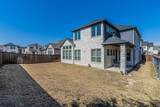 13237 Jonata Street - Photo 37