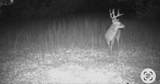 1601 Ragel - Photo 31