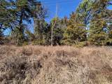 22442 Shady Trail - Photo 7