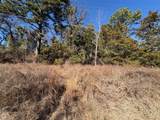 22442 Shady Trail - Photo 8
