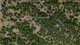 TBD Whitetail Trail - Photo 10