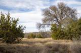 TBD Whitetail Trail - Photo 3