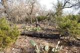 TBD Whitetail Trail - Photo 4