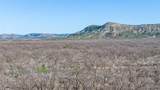 1000 Lometa Road - Photo 16