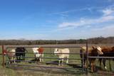 2488 Rs County Road 1525 - Photo 1